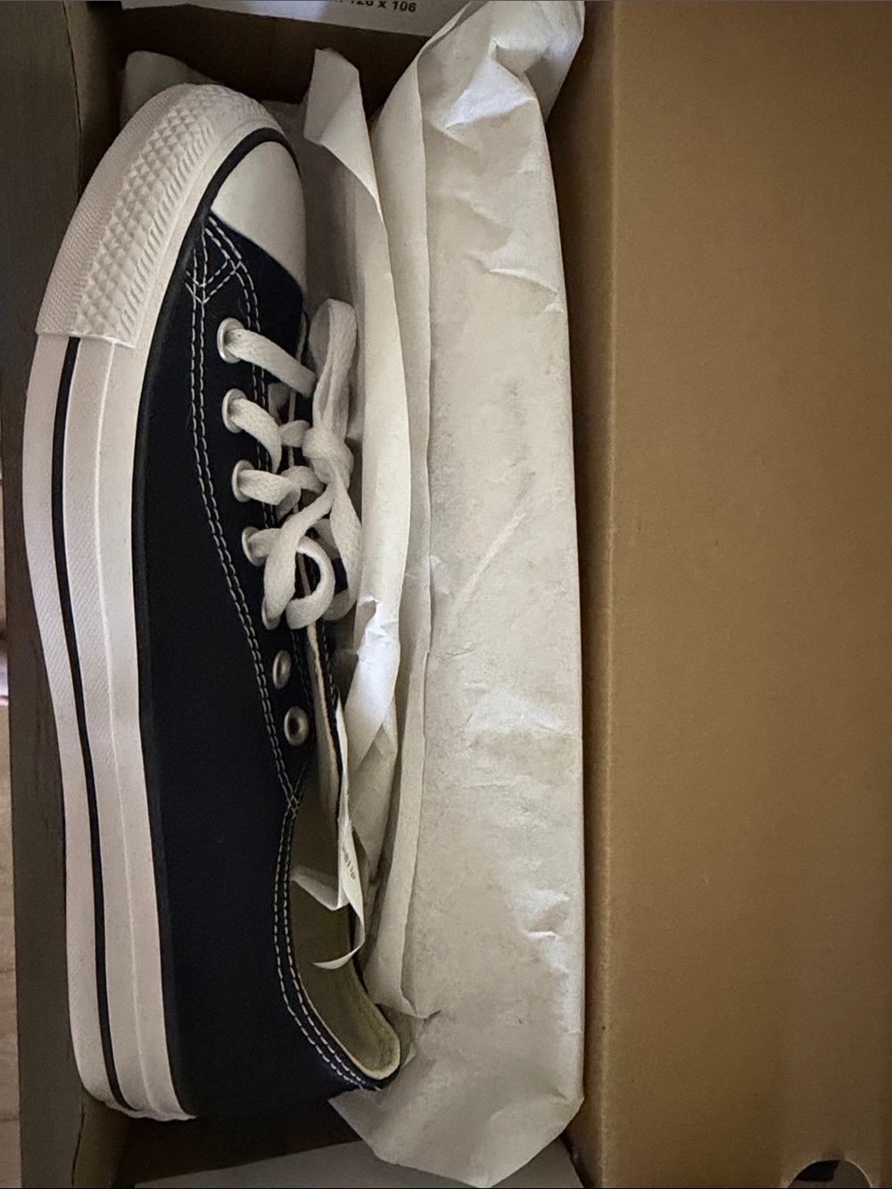 Converse Low-Top Canvas Sneaker in Navy and White